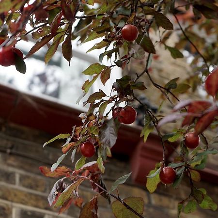 Beautiful London Home Sleeps 6, 2 Minutes To Metro מראה חיצוני תמונה